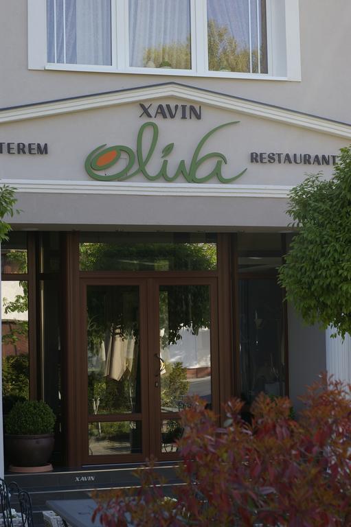 Xavin Wellness Hotel & Restaurant Harkany Ngoại thất bức ảnh